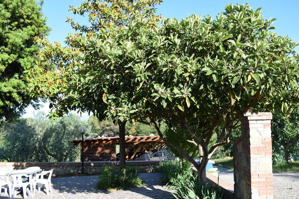 Agriturismo Amina, Winery & Hiking Vagliagli Exterior foto