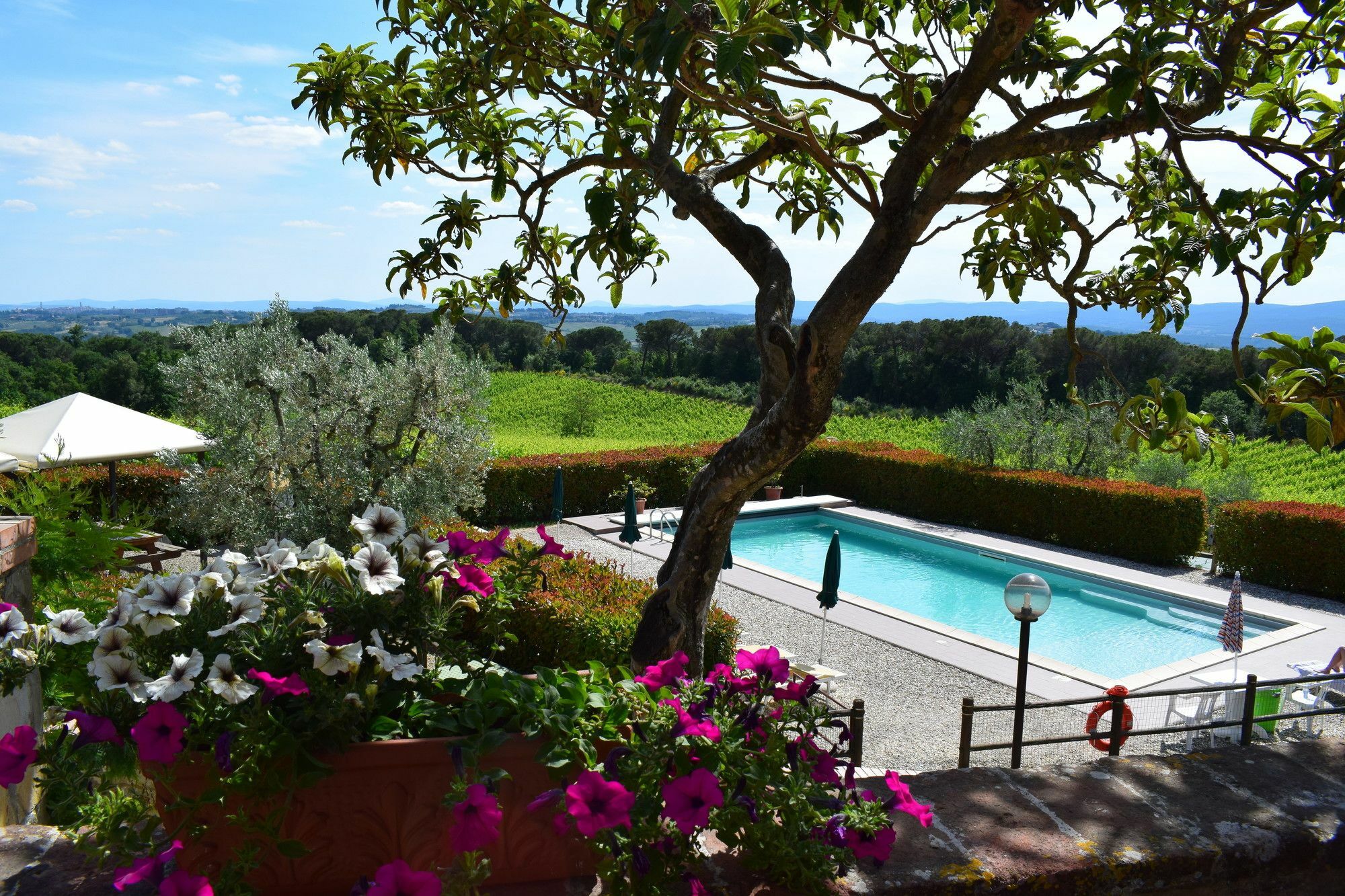 Agriturismo Amina, Winery & Hiking Vagliagli Exterior foto