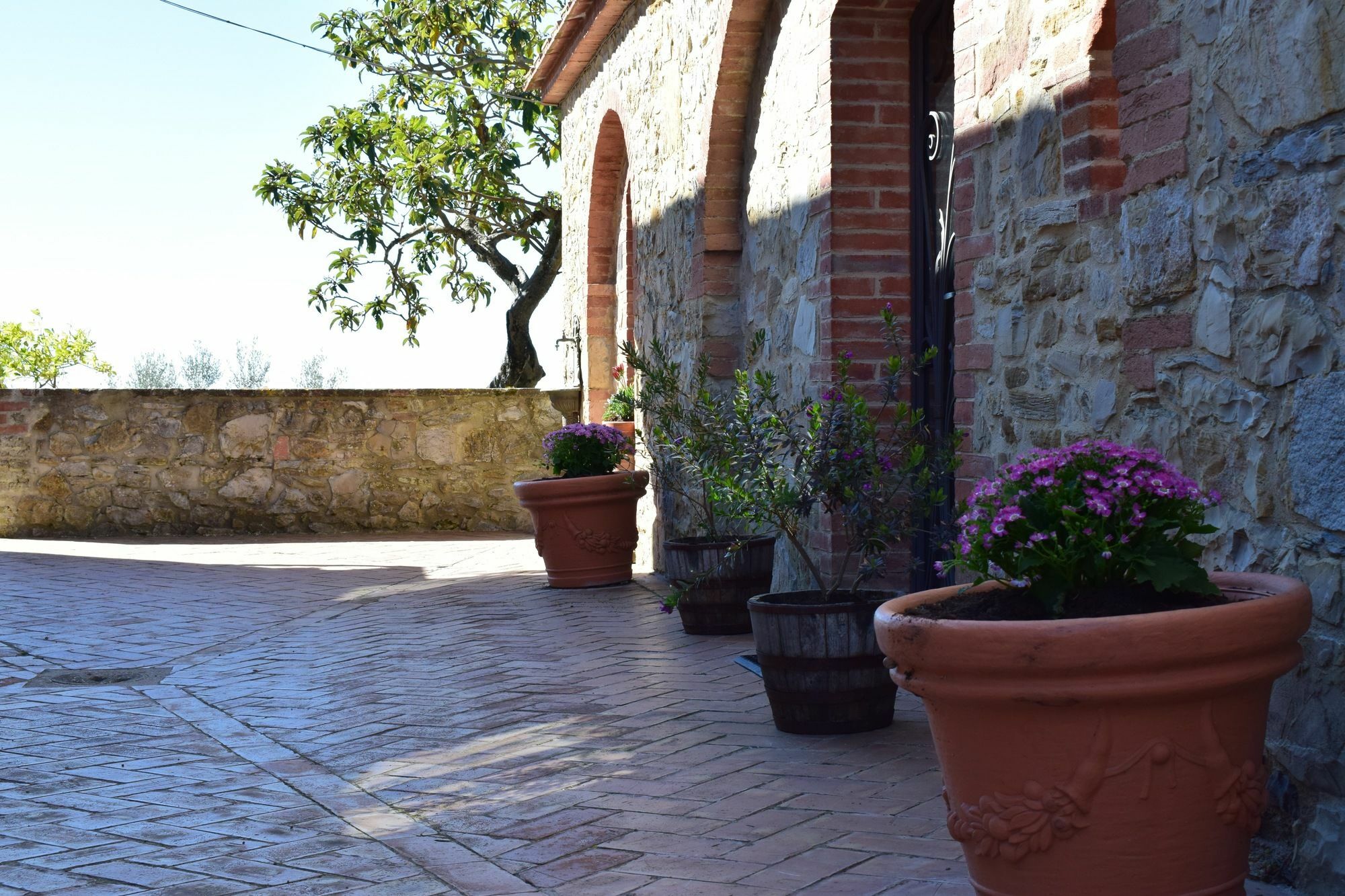 Agriturismo Amina, Winery & Hiking Vagliagli Exterior foto
